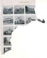 Sellers, Thomason, Roberts, Coats, Frazer, Benton County 1903